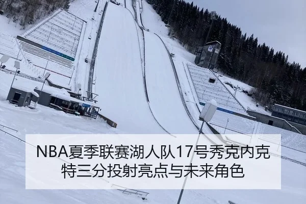 NBA夏季联赛湖人队17号秀克内克特三分投射亮点与未来角色 - hth